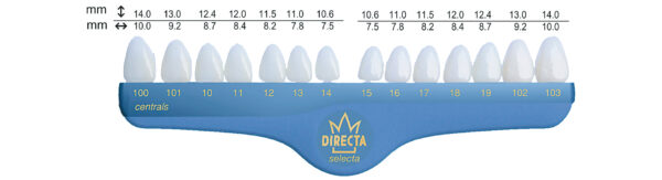 Directa kronor centraler Nr 19