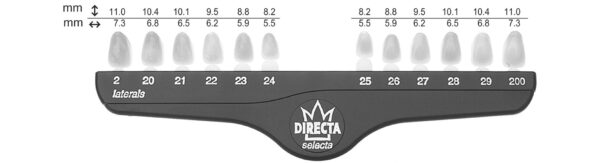Directa kronor lateraler Nr 27