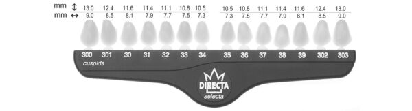 Directa kronor cuspider Nr 37