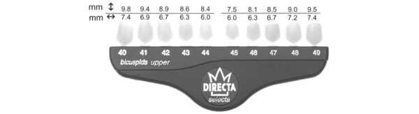 Directa kronor premolarer ök Nr 40