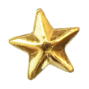 Twinkles 12. Stjärna stor guld